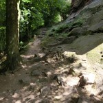 Steiniger Fußweg zur Chateau de Windstein